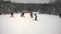 wp_20150130_013.jpg