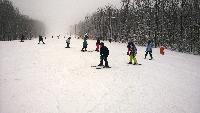wp_20150130_014.jpg