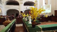 dscf3184.jpg