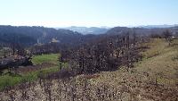 dscf3460.jpg