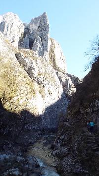 dscf3545.jpg