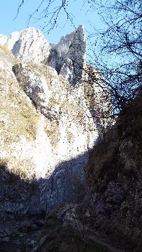 dscf3547.jpg