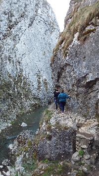 dscf3549.jpg