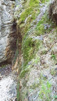 dscf3551.jpg