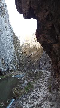 dscf3553.jpg