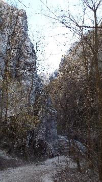dscf3562.jpg