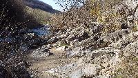 dscf3565.jpg