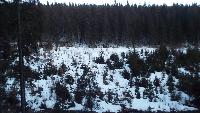 dscf3589.jpg