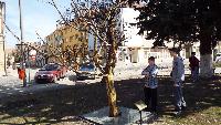 dscf3659.jpg