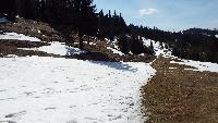 dscf3702.jpg
