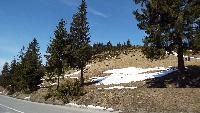 dscf3704.jpg