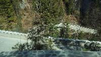 dscf3708.jpg