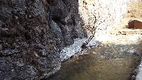 dscf3718.jpg