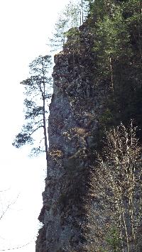 dscf3755.jpg