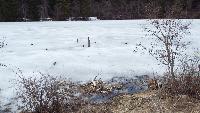 dscf3795.jpg