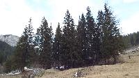 dscf3796.jpg