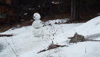 dscf3798.jpg