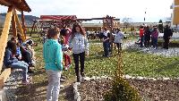 dscf3840.jpg