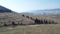dscf3917.jpg