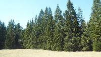 dscf3922.jpg