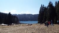 dscf3934.jpg