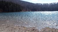 dscf3953.jpg