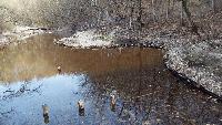dscf4023.jpg