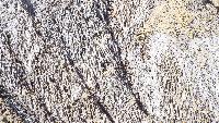 dscf4031.jpg