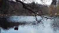 dscf4043.jpg