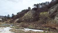 dscf4129.jpg