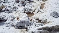 dscf4131.jpg