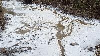 dscf4132.jpg