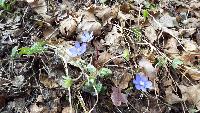 dscf4141.jpg