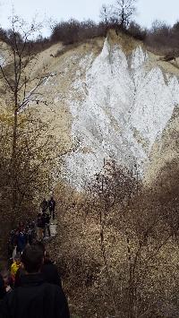 dscf4143.jpg