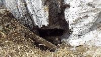 dscf4146.jpg
