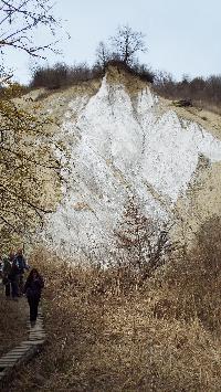 dscf4153.jpg