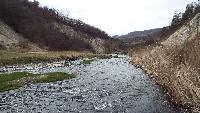 dscf4161.jpg