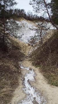 dscf4167.jpg