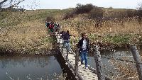 dscf4177.jpg