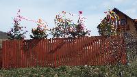 dscf4202.jpg