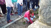 dscf4206.jpg