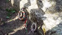 dscf4208.jpg
