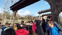 dscf4228.jpg