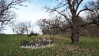 dscf4306.jpg