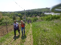p1190559.jpg