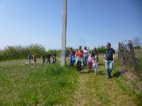 p1190563.jpg