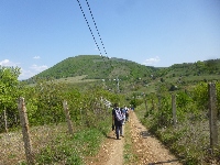 p1190565.jpg