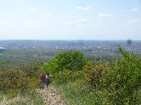 p1190573.jpg