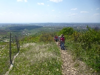 p1190575.jpg