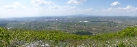 p1190576.jpg